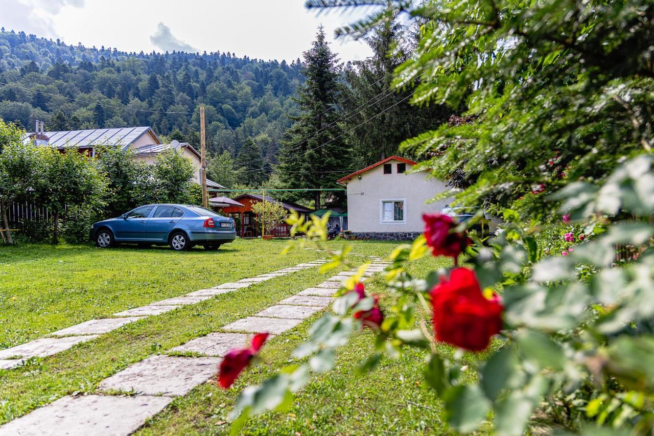 Pensiunea Montan Буштені Екстер'єр фото