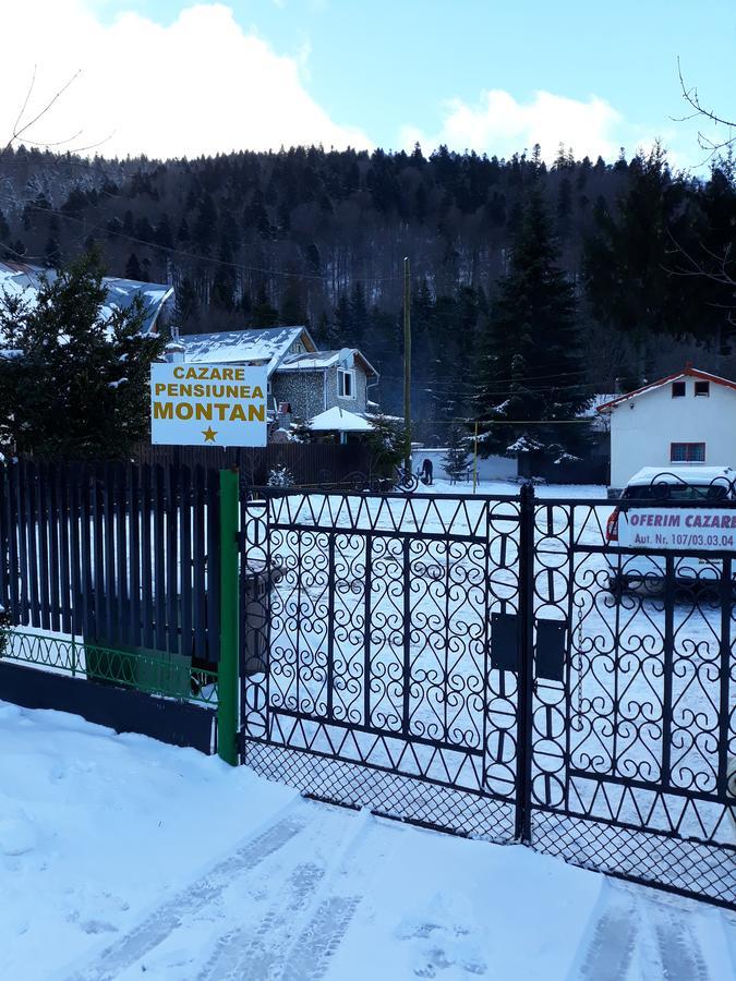 Pensiunea Montan Буштені Екстер'єр фото